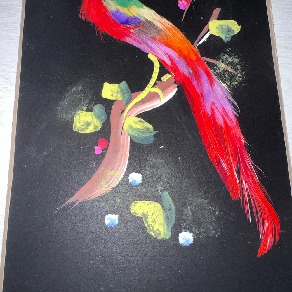 Vintage Hand Painted Mexican Bird Feather Artwork - Picture 3 of 4